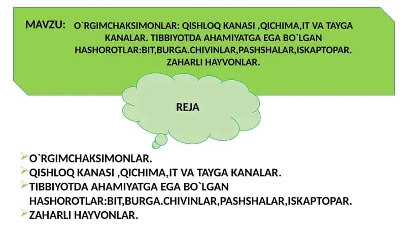 O`RGIMCHAKSIMONLAR: QISHLOQ KANASI ,QICHIMA,IT VA TAYGA KANALAR. TIBBIYOTDA AHAMIYATGA EGA BO`LGAN HASHOROTLAR:BIT,BURGA.CHIVINLAR,PASHSHALAR,ISKAPTOPAR.ZAHARLI HAYVONLAR. 1