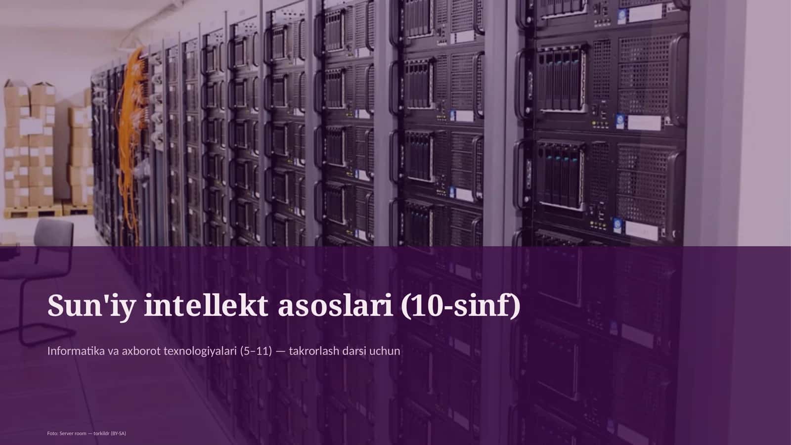 Sun'iy intellekt asoslari (10-sinf) 1