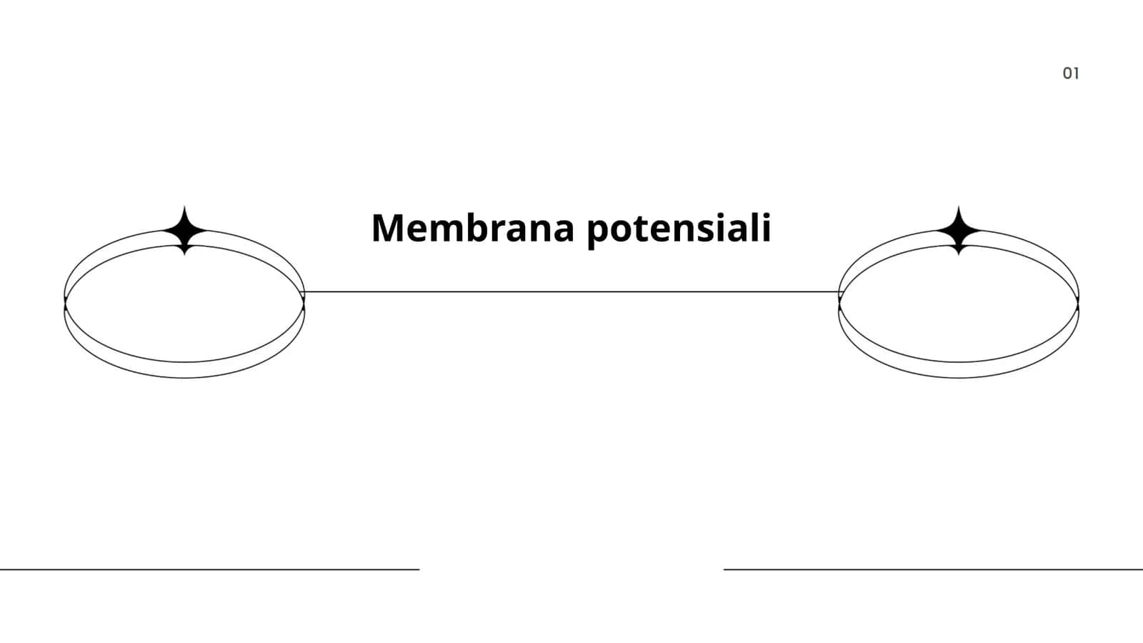 Membrana potensiali 1
