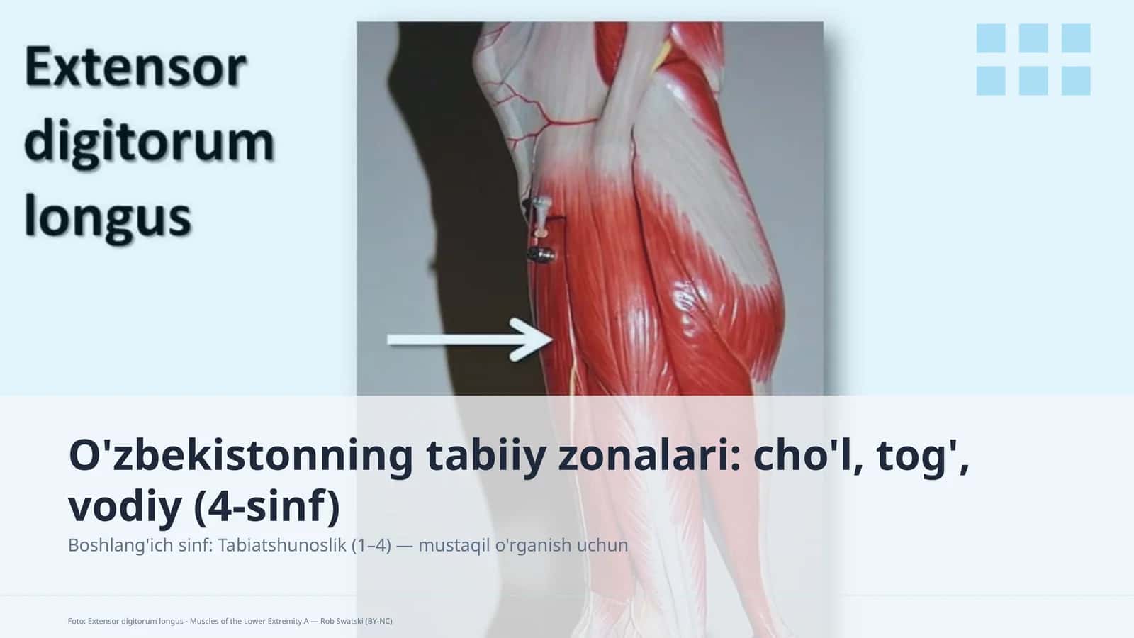O'zbekistonning tabiiy zonalari: cho'l, tog', vodiy (4-sinf) 1