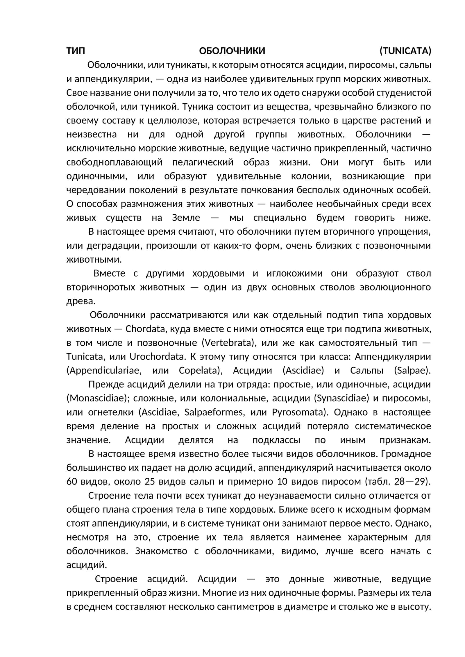 ТИП ОБОЛОЧНИКИ (TUNICAТА) 1