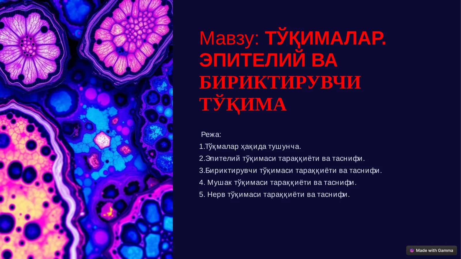 ЭПИТЕЛИЙ ВАБИРИКТИРУВЧИ ТЎҚИМА 1