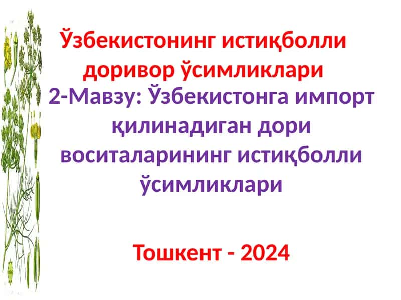 Тиконакликовул – Каперс колючий 1