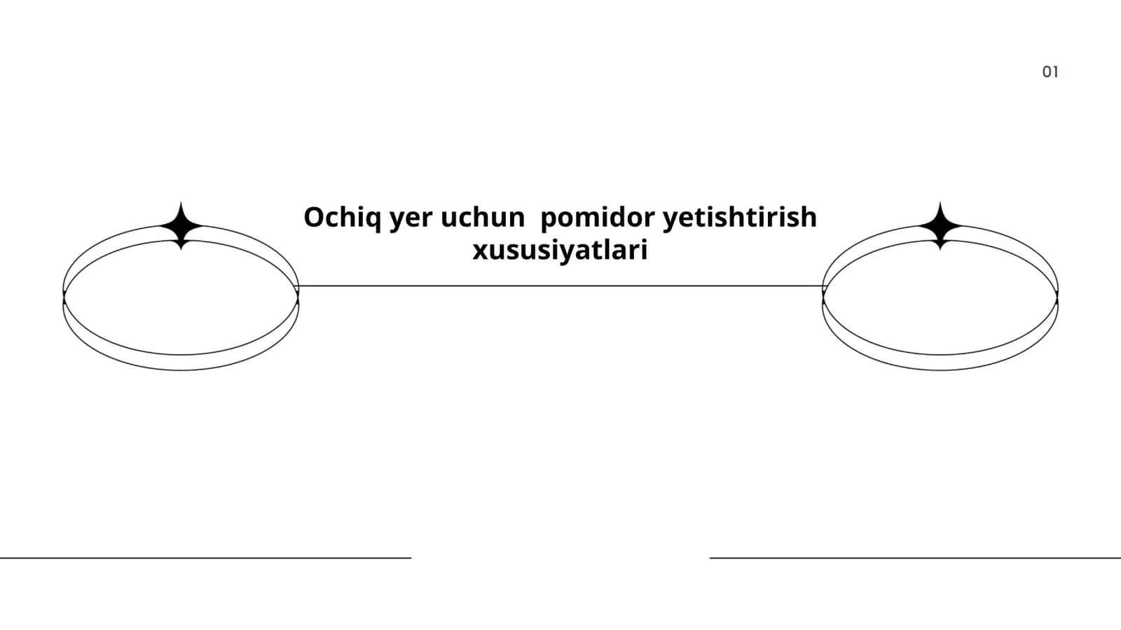 Ochiq yer uchun pomidor yetishtirish xususiyatlari 1