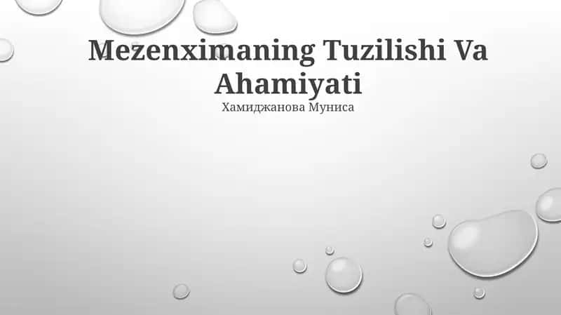 Mezenximaning Tuzilishi Va Ahamiyati 1