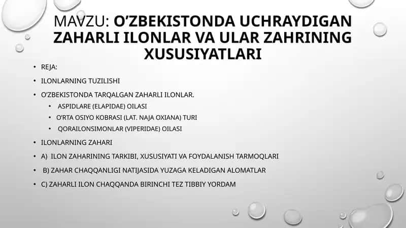 O’ZBEKISTONDA UCHRAYDIGAN ZAHARLI ILONLAR VA ULAR ZAHRINING XUSUSIYATLARI 1