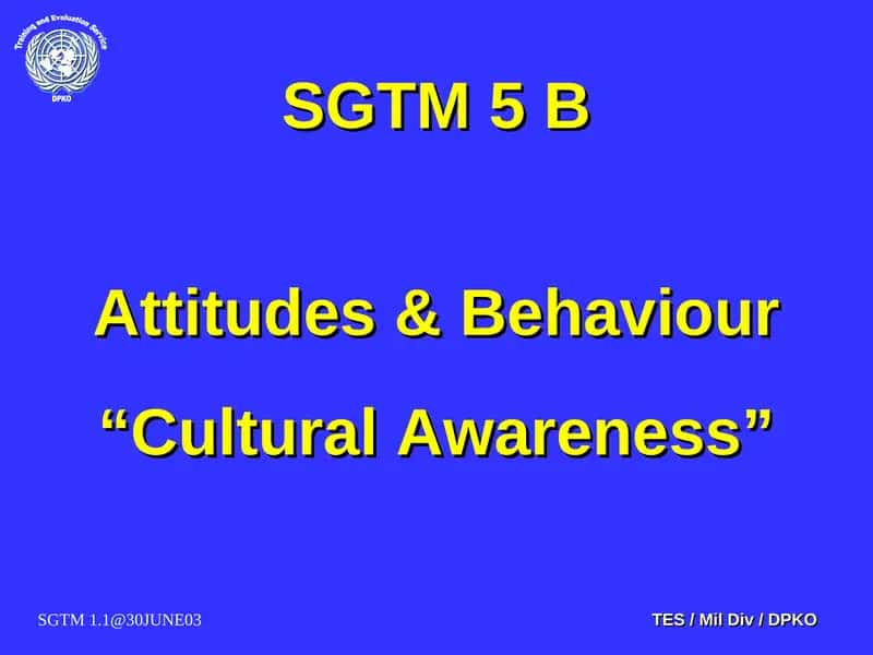 Cultural Awareness 1