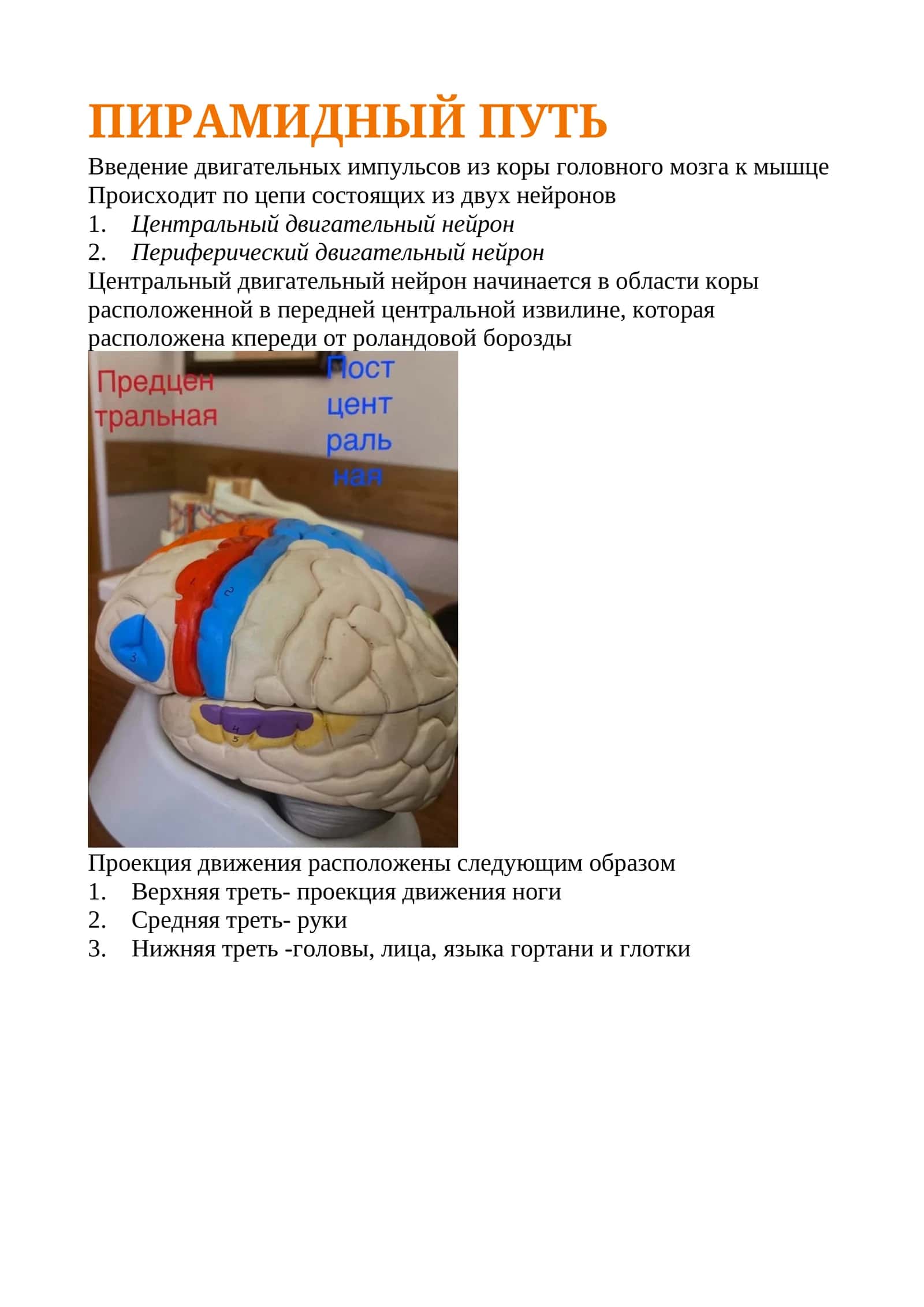 Пирамидный путь 1