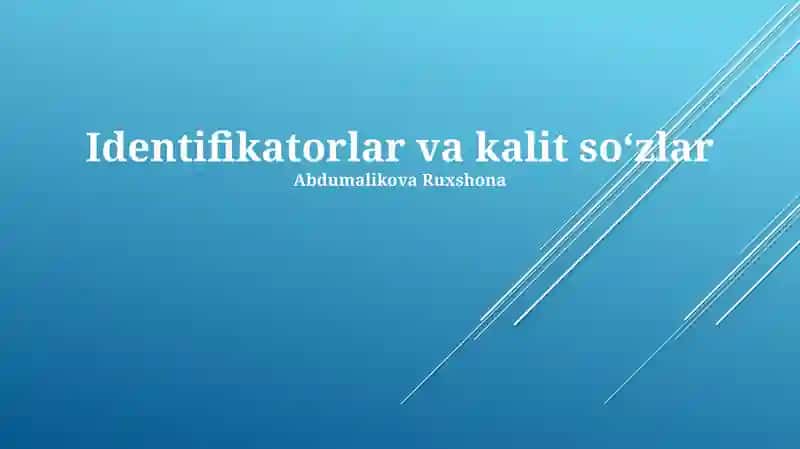 Identifikatorlar va kalit soʻzlar