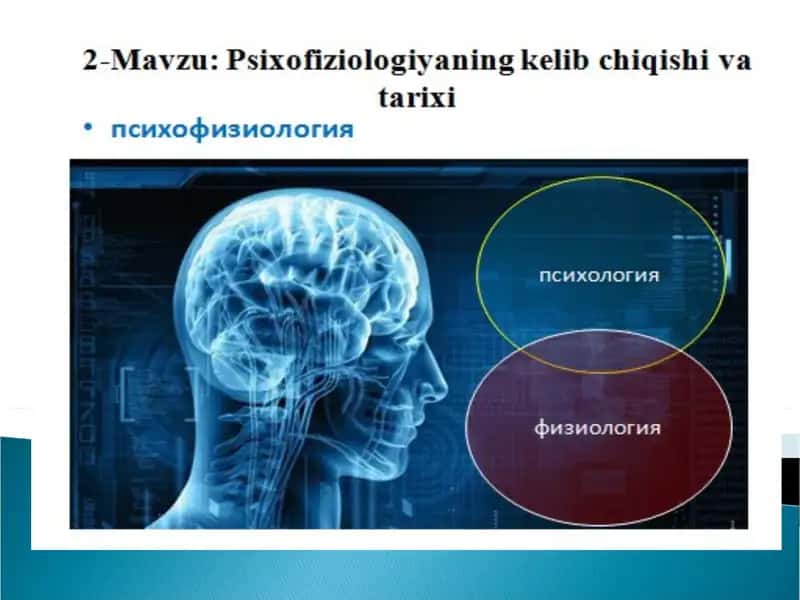 Psixofizyologiya 1