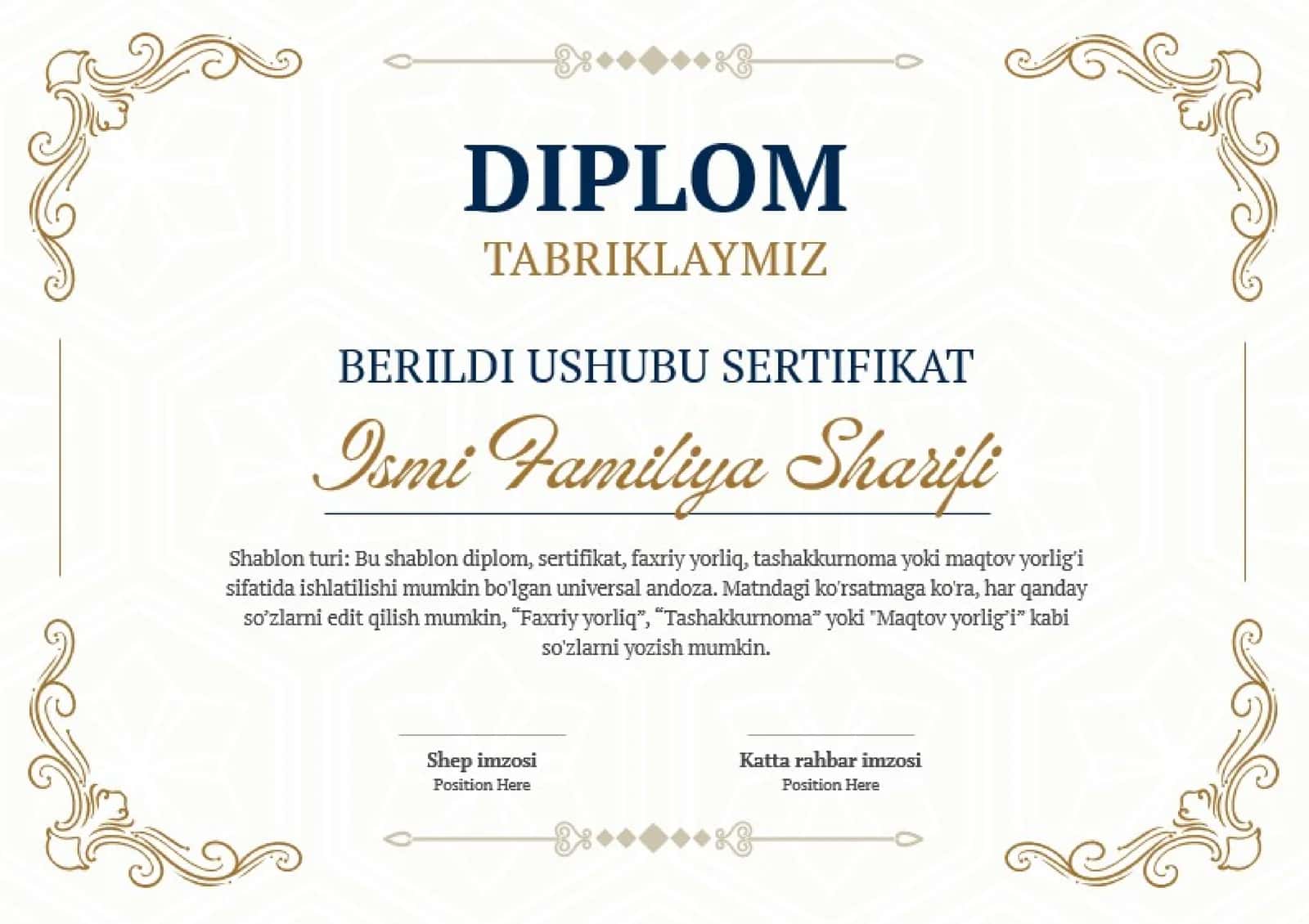 DIPLOM 1