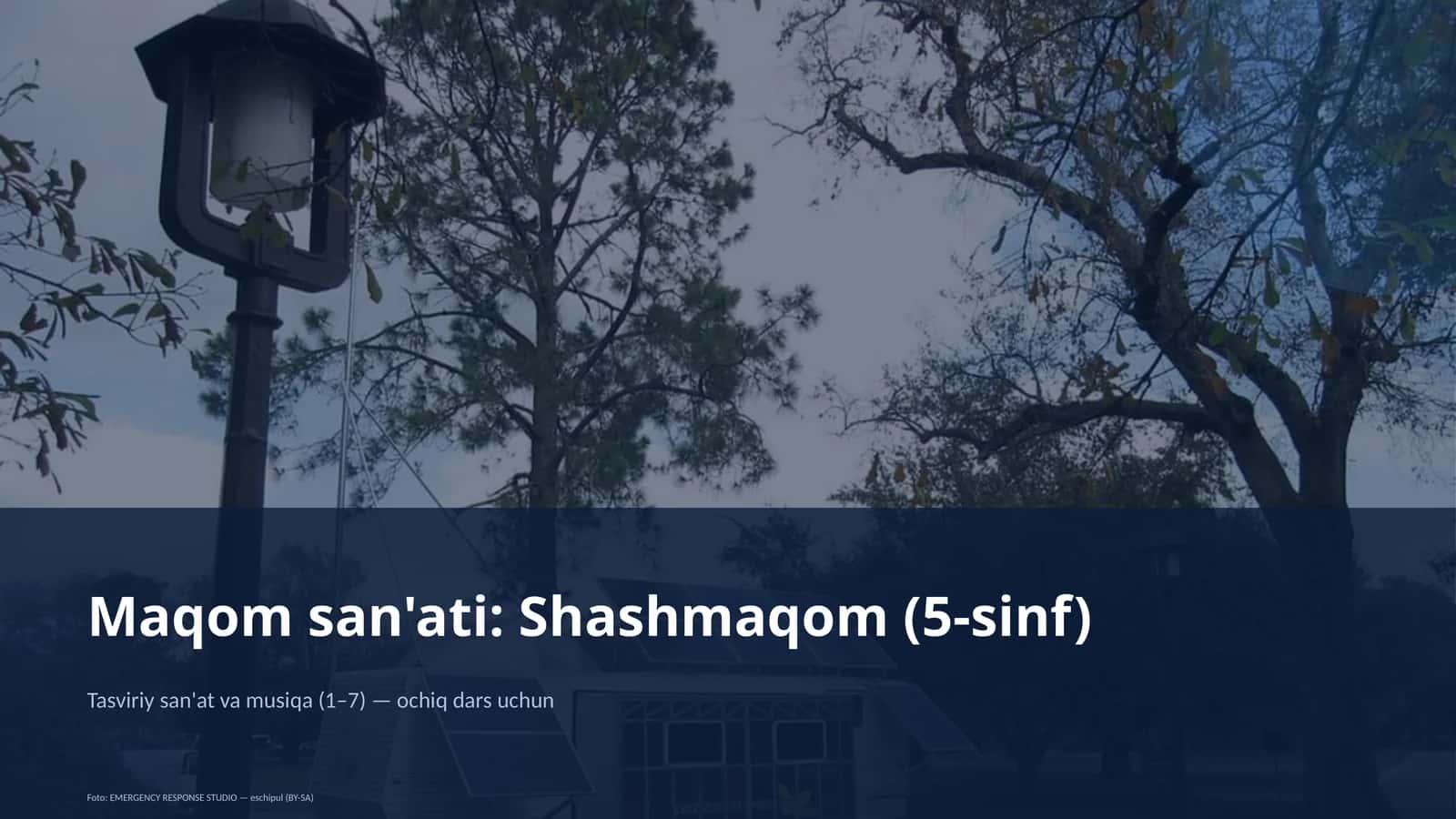 Maqom san'ati: Shashmaqom (5-sinf) 1