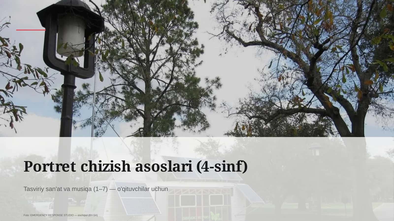Portret chizish asoslari (4-sinf) 1
