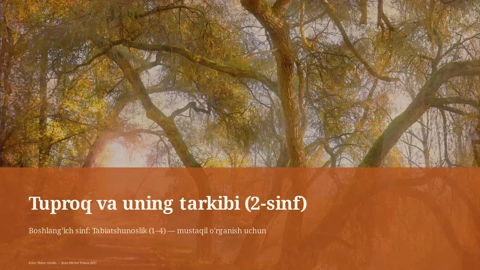 Tuproq va uning tarkibi (2-sinf) 1