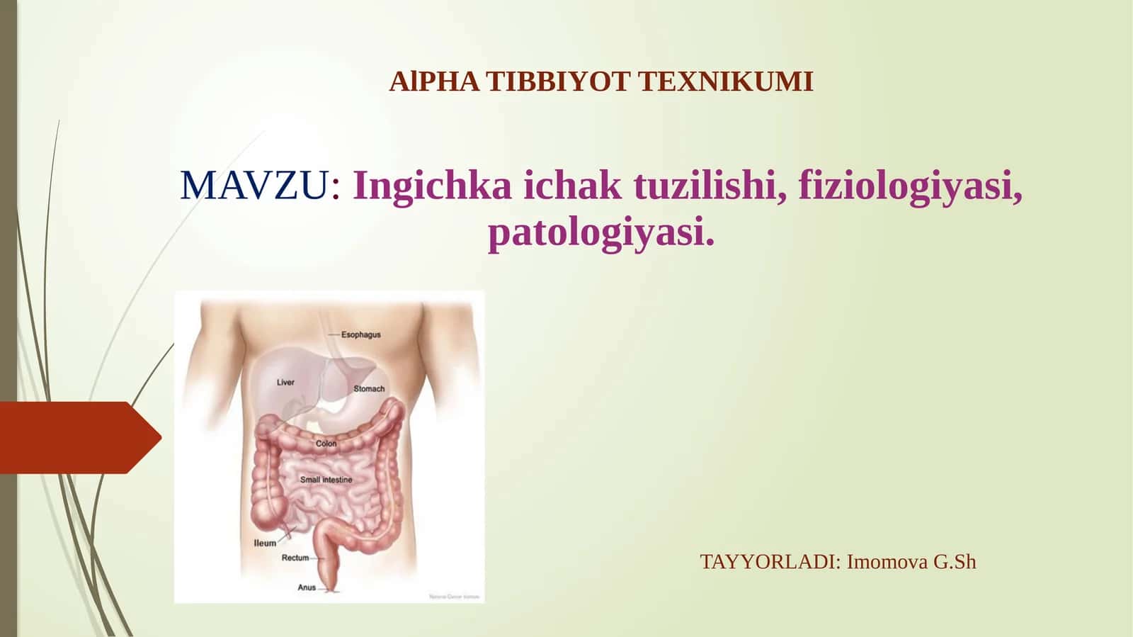 AlPHATIBBIYOT TEXNIKUMI 1