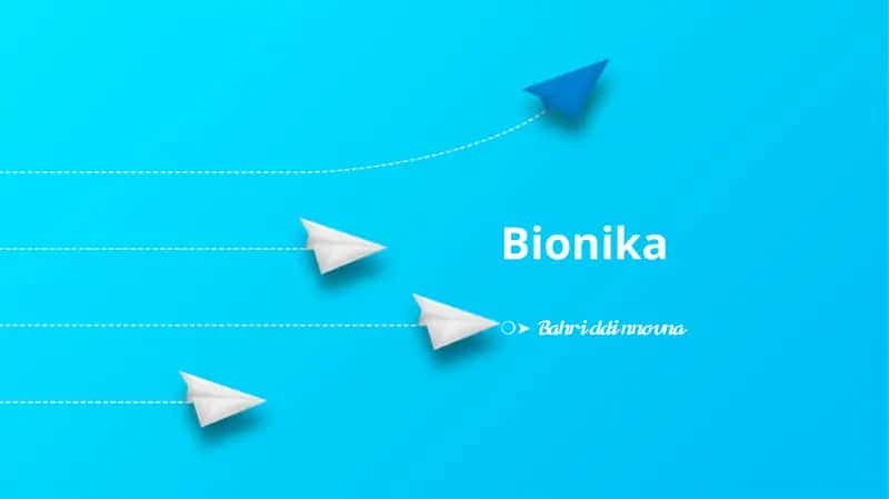 Bionika 1