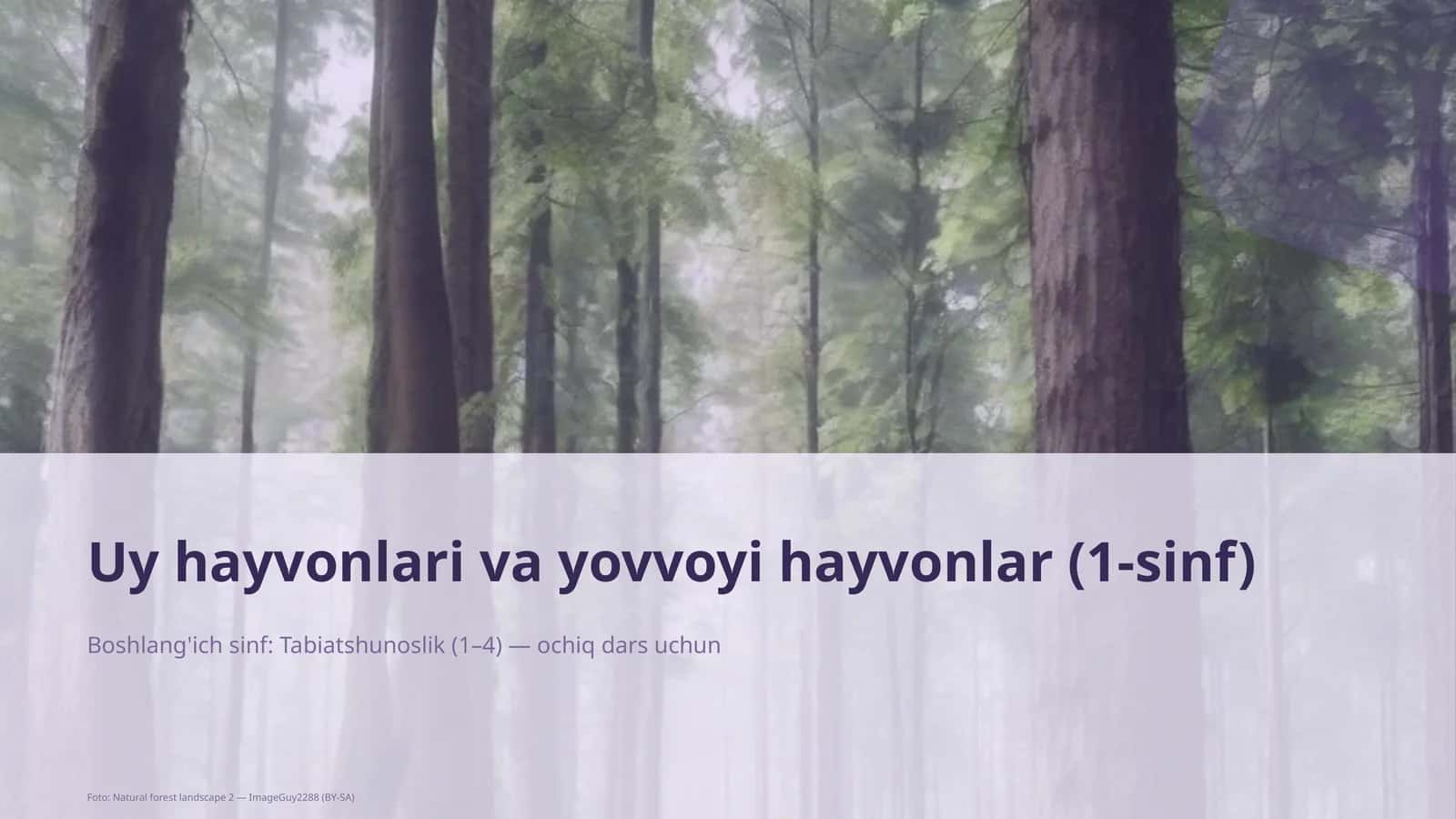 Uy hayvonlari va yovvoyi hayvonlar (1-sinf) 1