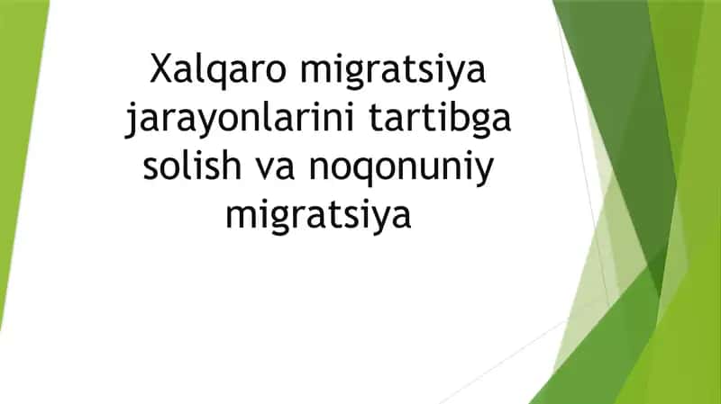 Xalqaro migratsiya jarayonlarini tartibga solish 1