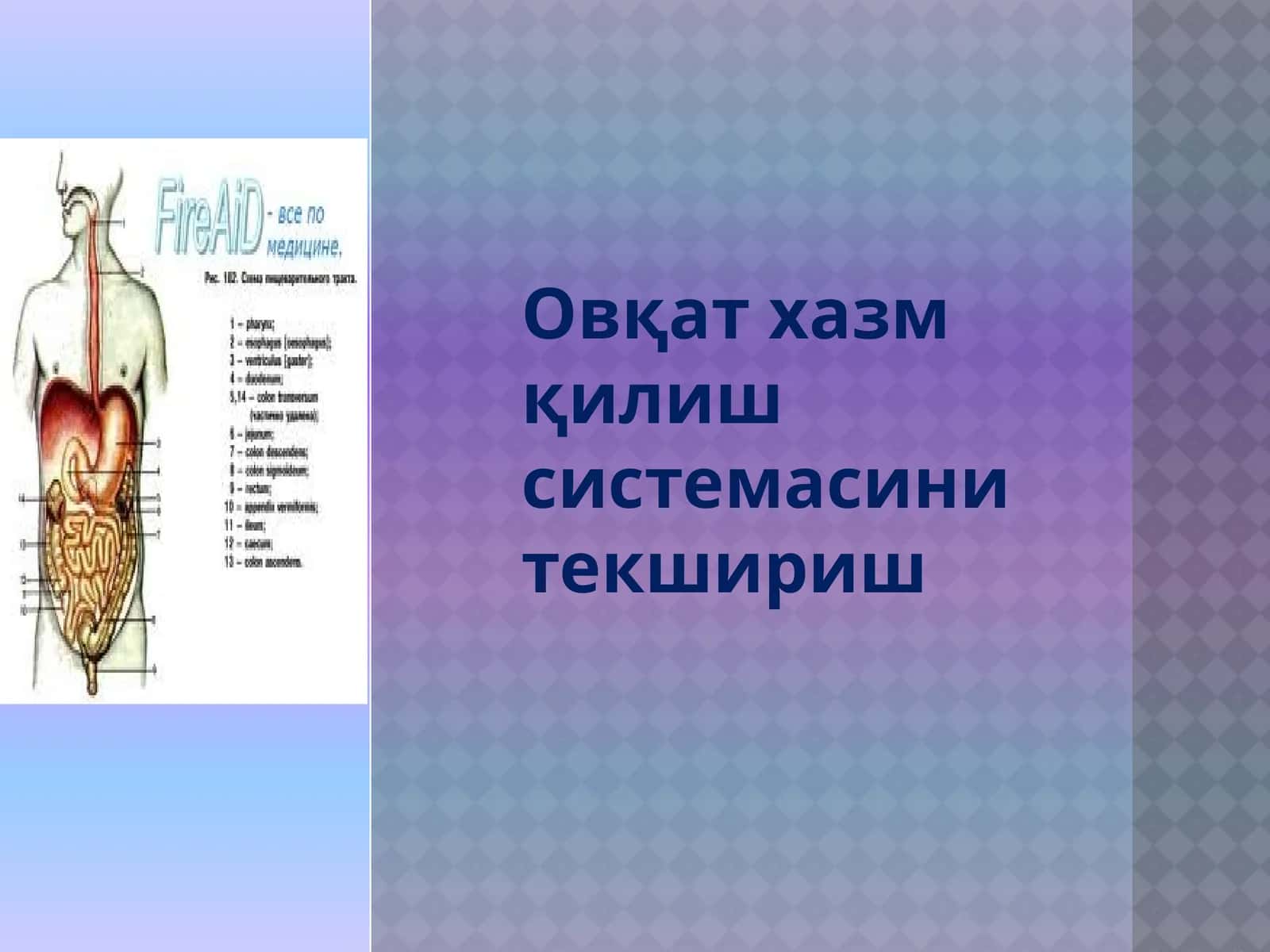 Овқатхазмқилишсистемасини текшириш 1