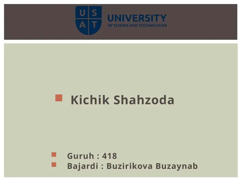 Kichik Shahzoda 1