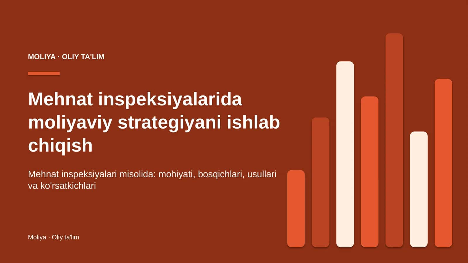 mehnat inspeksiyalarida moliyaviy strategiyani ishlab chiqish 4079 1