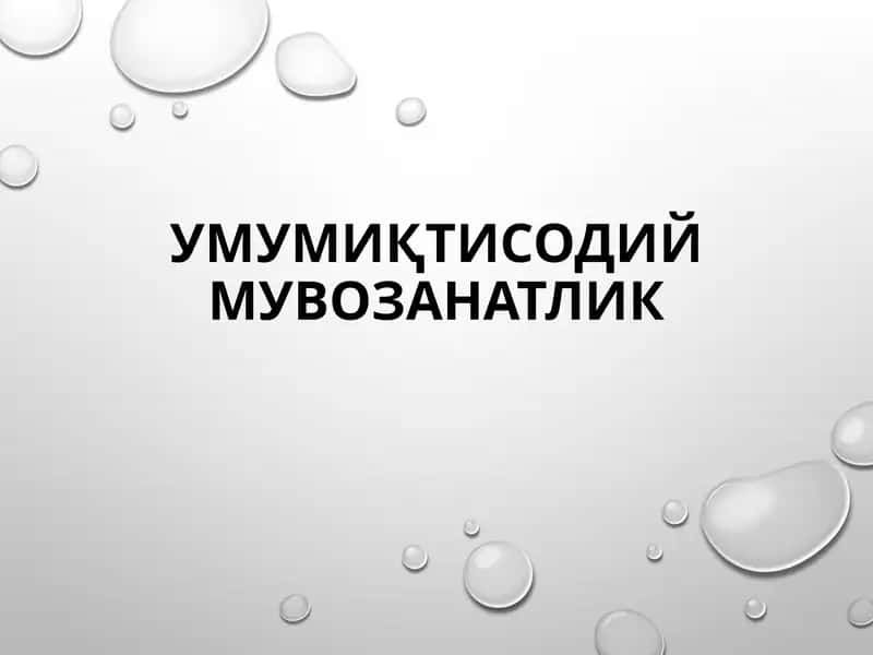 Умумиқтисодий мувозанатлик 1