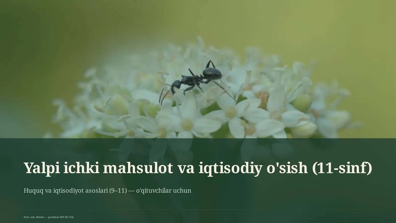 Yalpi ichki mahsulot va iqtisodiy o'sish (11-sinf) 1