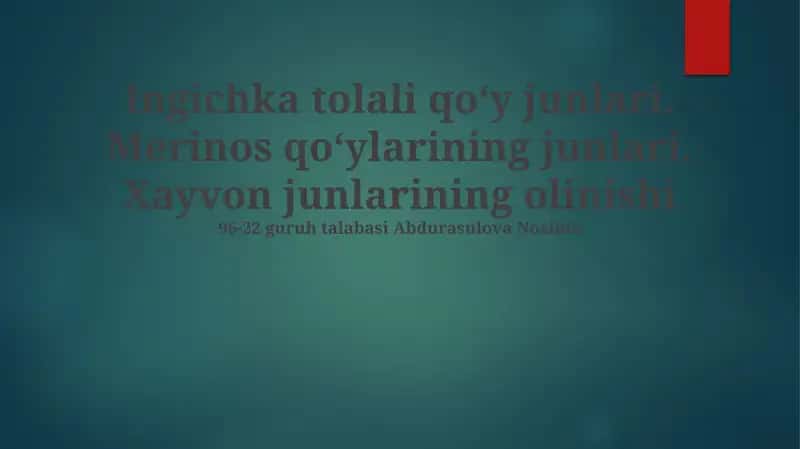 Nozik junli qo'ylar junini 1