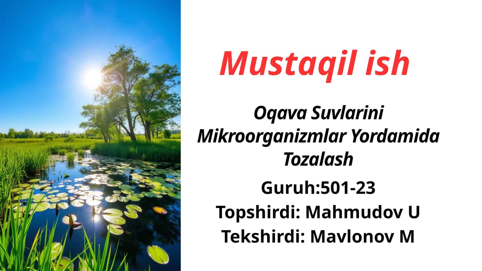 Oqava Suvlari Mikroorganizmlar Yordamida Tozalash 1