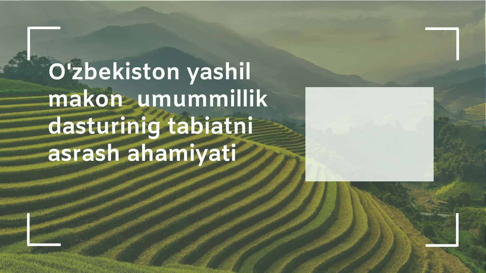 Yashil makonlarning ekologik va ijtimoiy ahamiyati 1