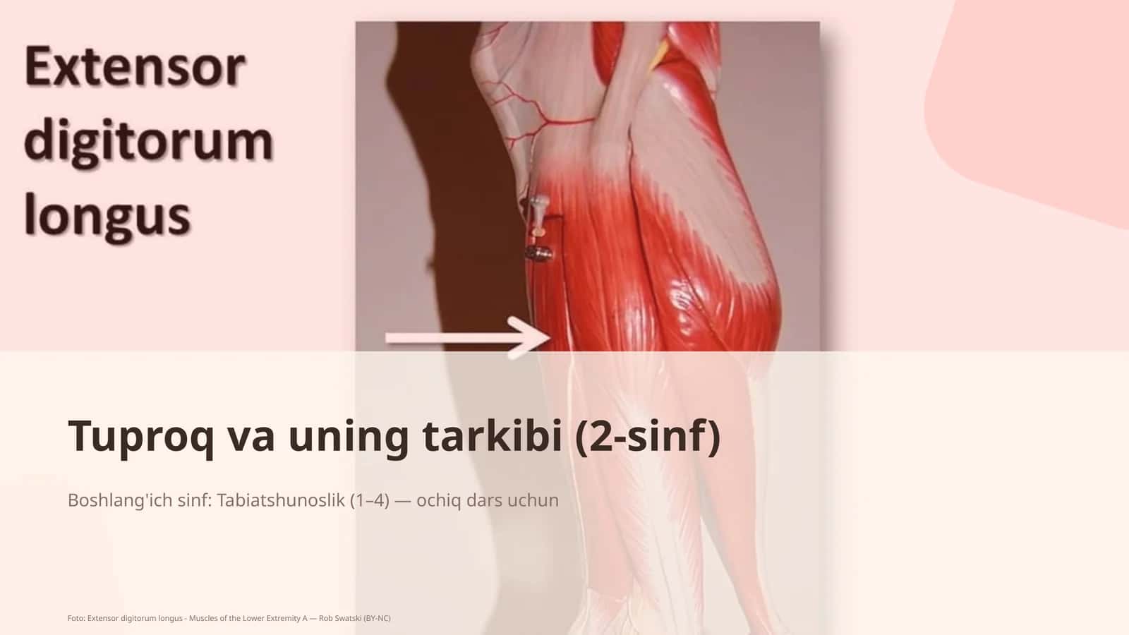 Tuproq va uning tarkibi (2-sinf) 1