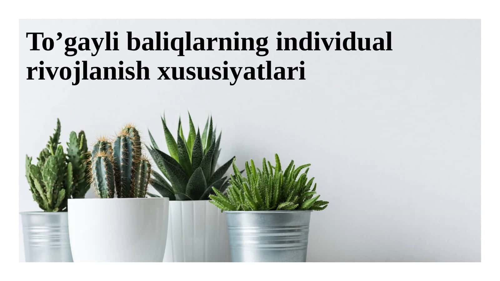 To’gayli baliqlarning individual rivojlanish xususiyatlari 1