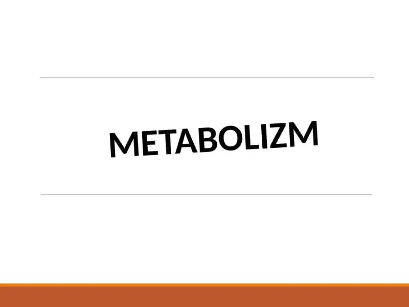 METABOLIZM 1