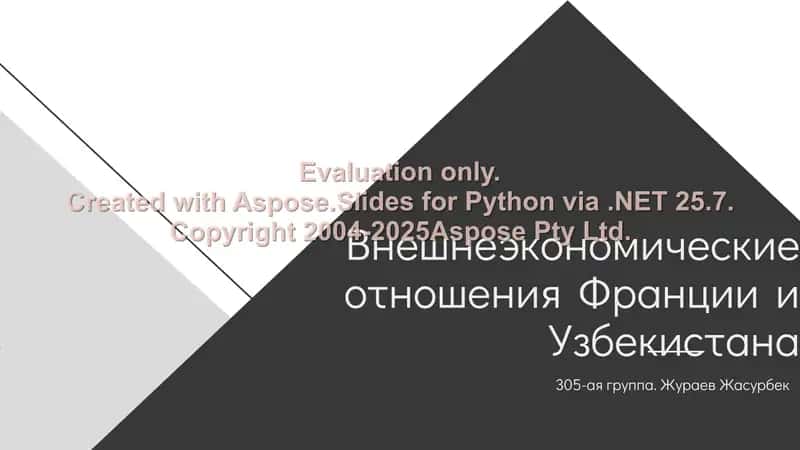 Внешнеэкономические отношения Франции и Узбекистана 1