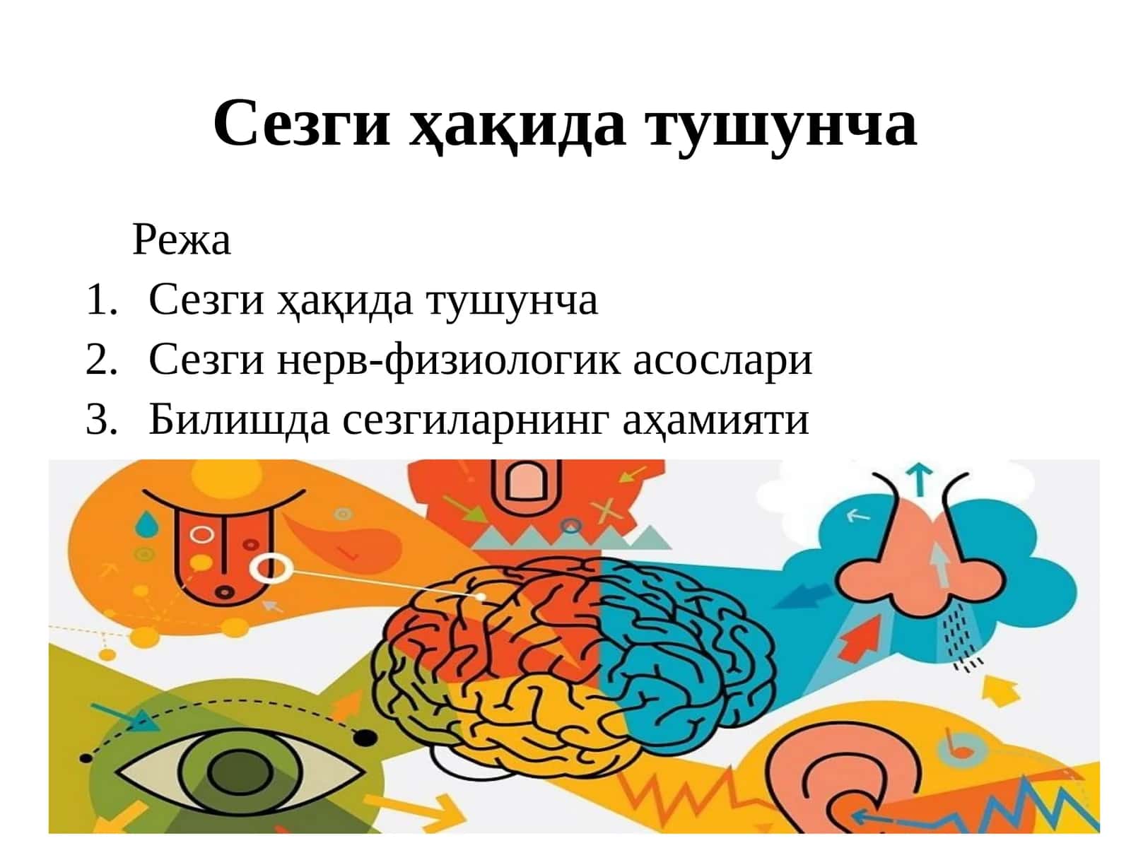 Сезги ҳақида тушунча 1