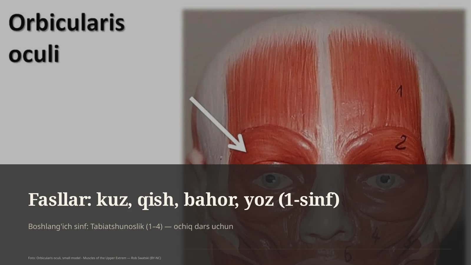 Tabiatshunoslik (1–4) — ochiq dars uchun 1