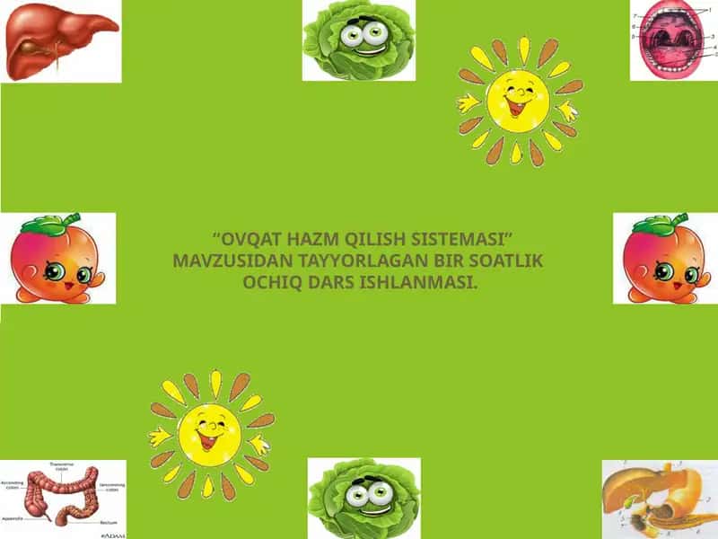 OVQAT HAZM QILISH SISTEMASI 1