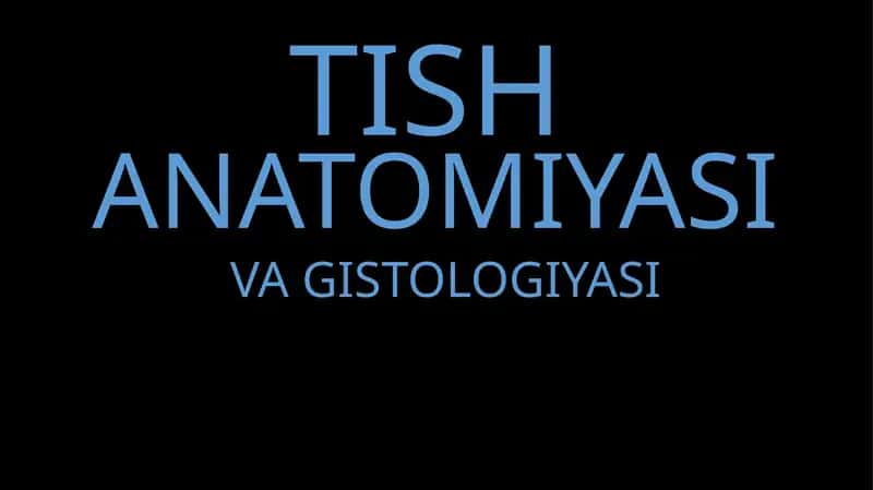 TISH ANATOMIYASI VA GISTOLOGIYASI 1