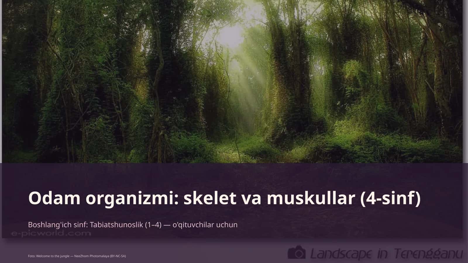 Odam organizmi: skelet va muskullar (4-sinf) 1