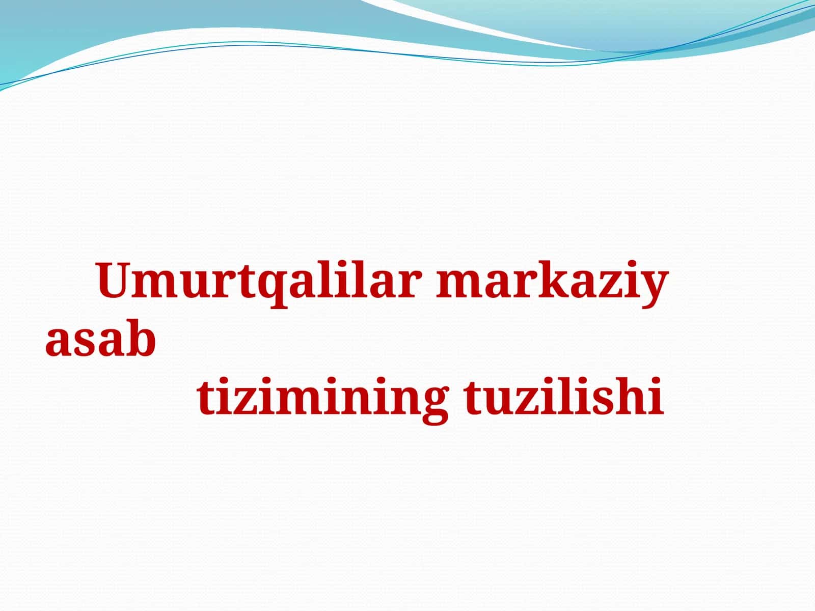 Umurtqalilarmarkaziyasabtiziminingtuzilishi 1