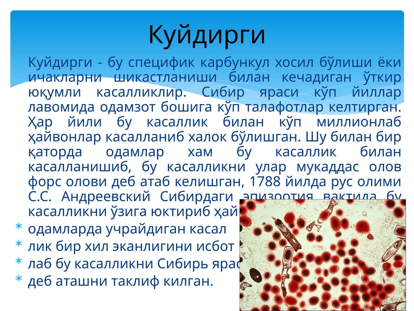Сибиряраси 1