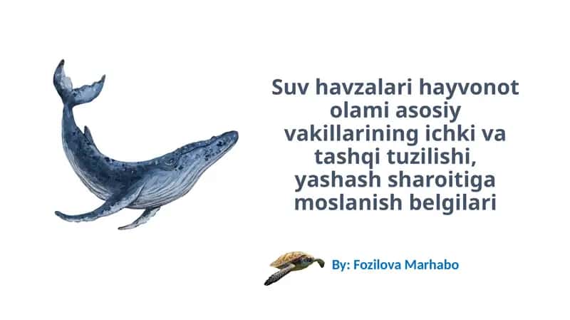 Suv Ekotizimning Tavsifi 1