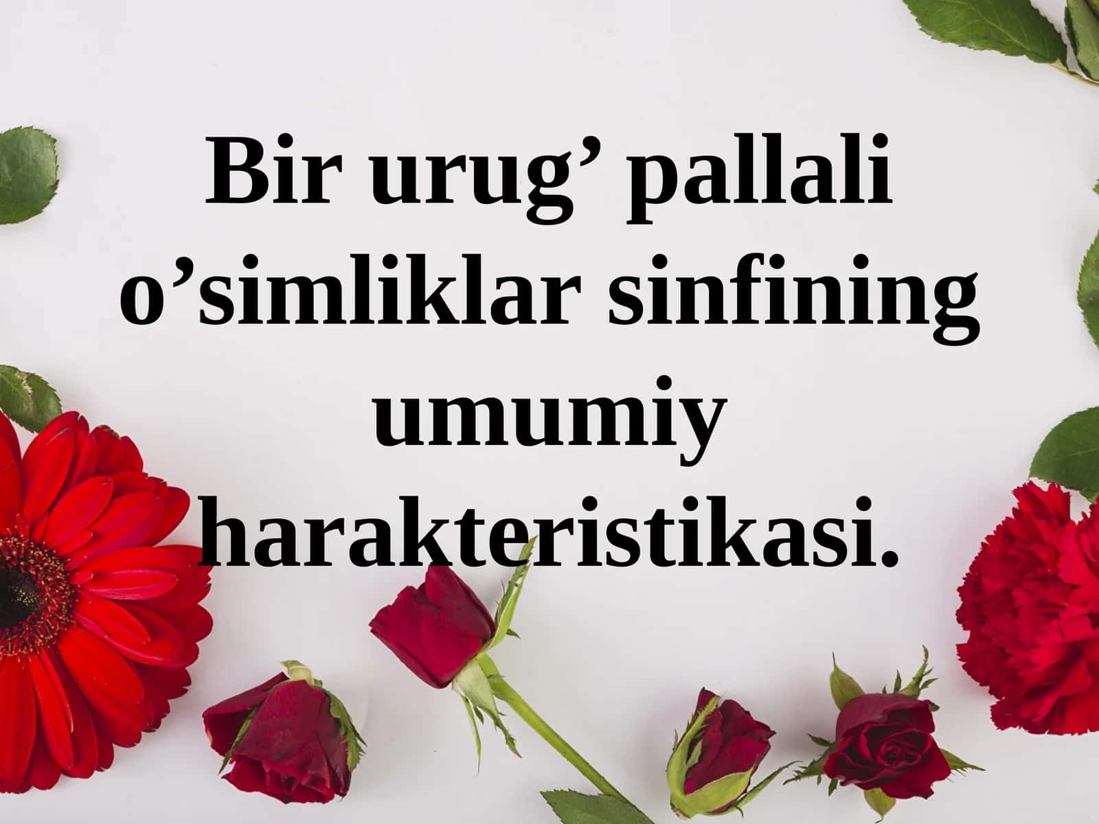 Bir urug’ pallali o’simliklar sinfining umumiy harakteristikasi. 1