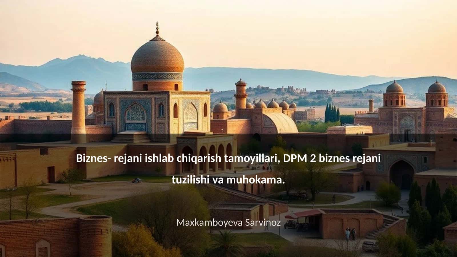 Biznes- rejani ishlab chiqarish tamoyillari, DPM 2 biznes rejani tuzilishi va muhokama 1