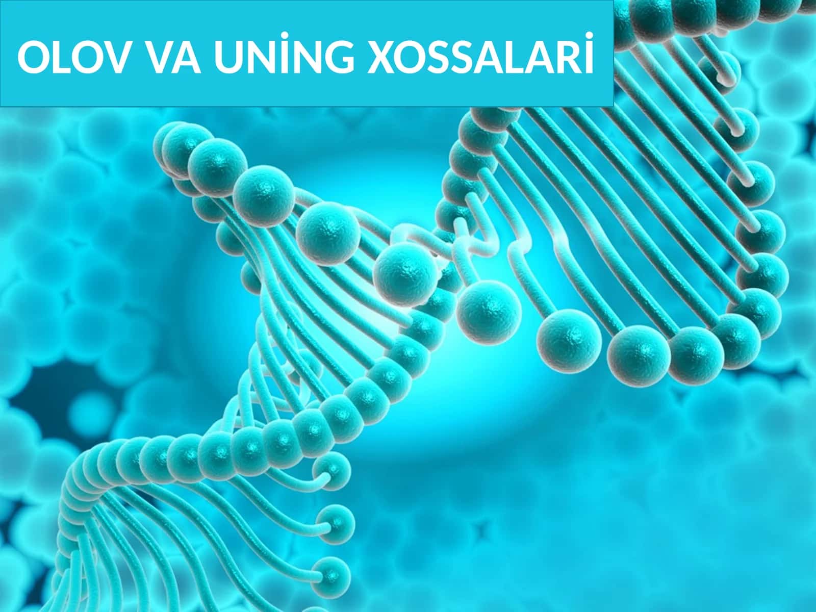 OLOV VA UNİNG XOSSALARİ 1