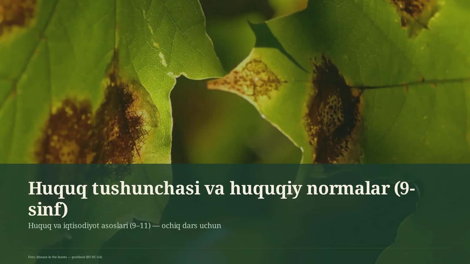 Huquq tushunchasi va huquqiy normalar (9-sinf) 1