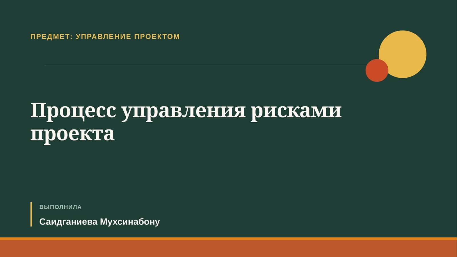 Процесс управления рисками проекта 1