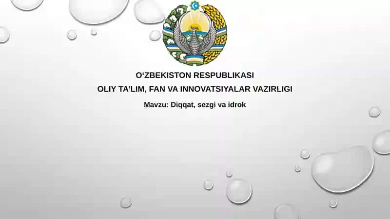 Diqqat, Sezgi, Idrok