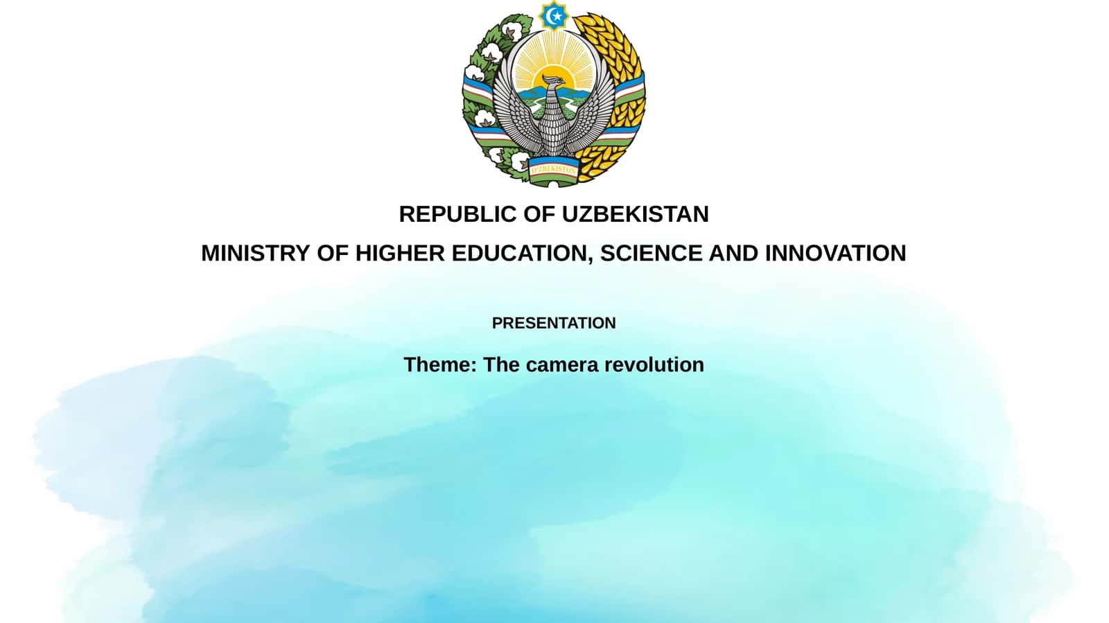The camera revolution 1