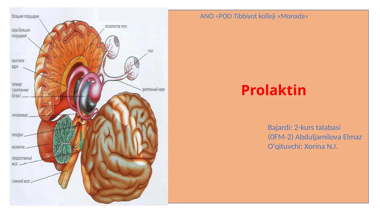 Prolaktin gormoni va uning funksiyalari 1